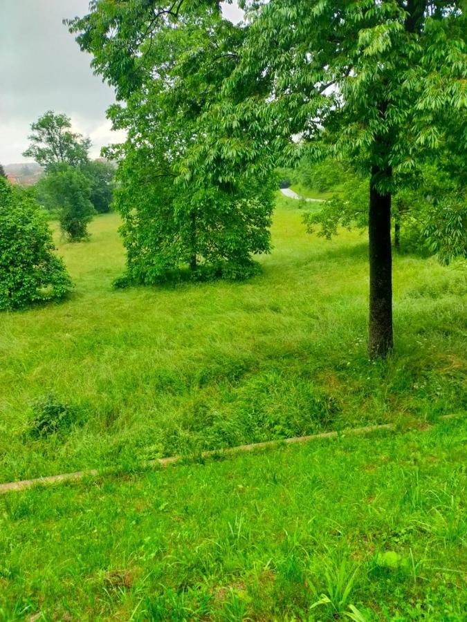 Il Bosco Incantato Borgo San Dalmazzo Ngoại thất bức ảnh